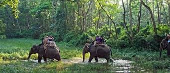 Jungle safari in Chitwan